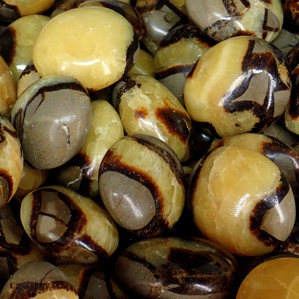 Septarian Stone