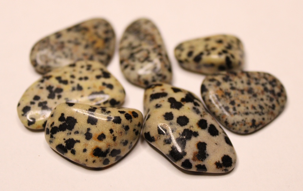 Dalmatian Stone