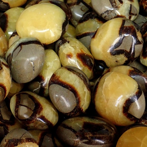 Septarian Stone