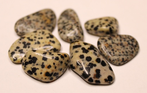 Dalmatian Stone